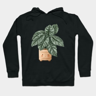 Cute Plant Illustration, Alocasia Silver Dragon Illustration 3 Hoodie